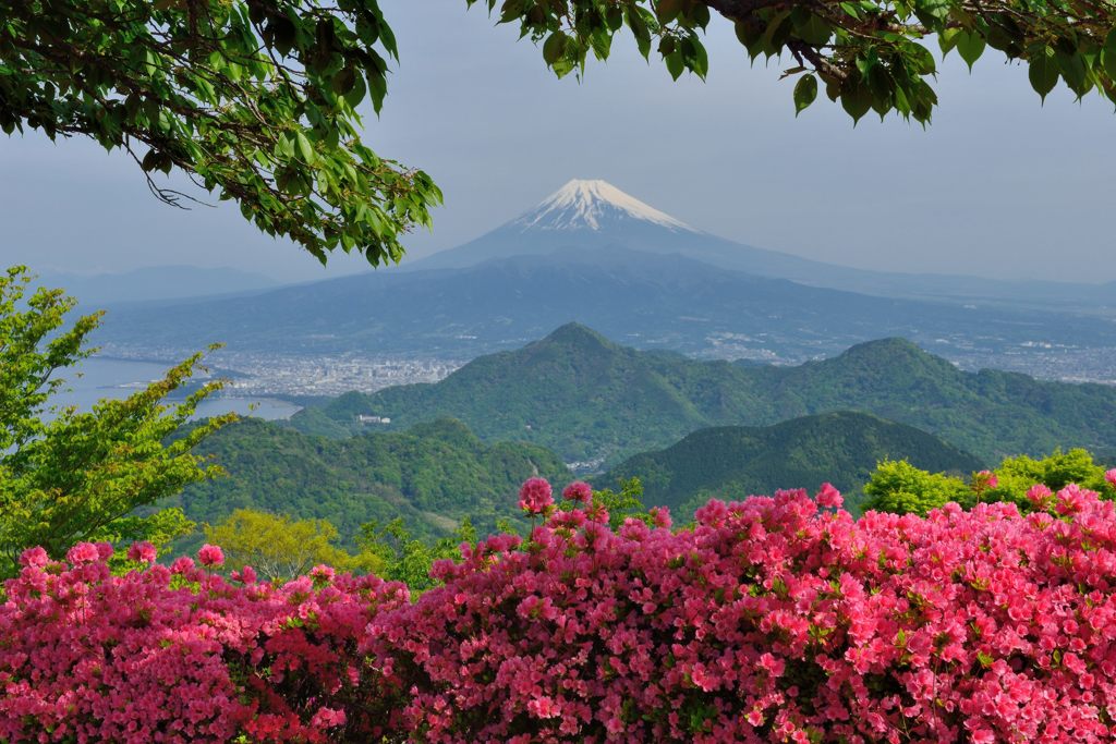 週末の富士山（新作637）