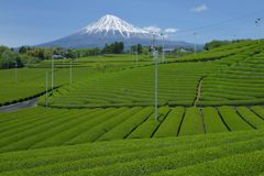 週末の富士山（新作1179）