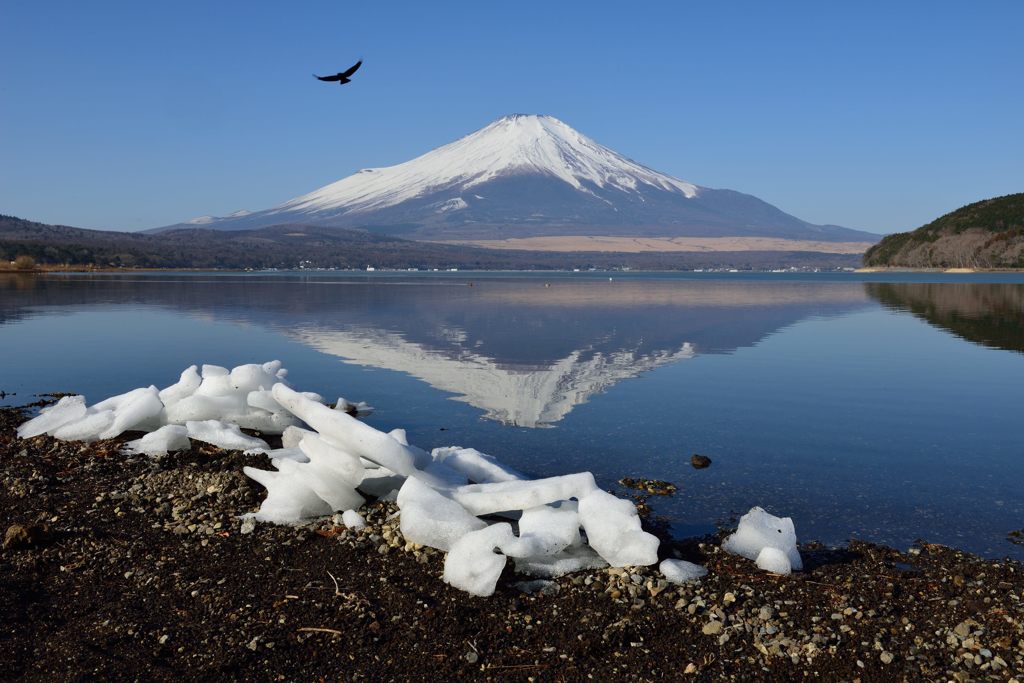 週末の富士山（新作796）