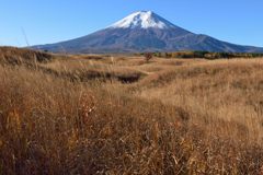 週末の富士山（新作680）