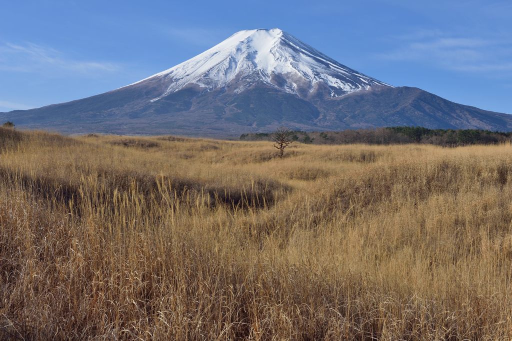 週末の富士山（新作1120）