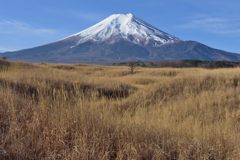 週末の富士山（新作1120）
