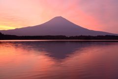 週末の富士山（新作682）