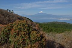 週末の富士山296