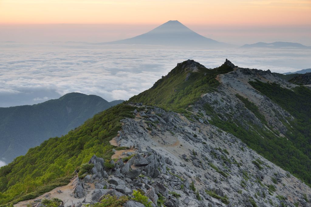 週末の富士山（新作687）