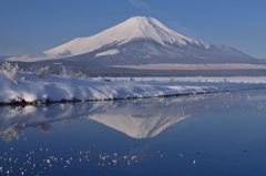 週末の富士山（新作152）