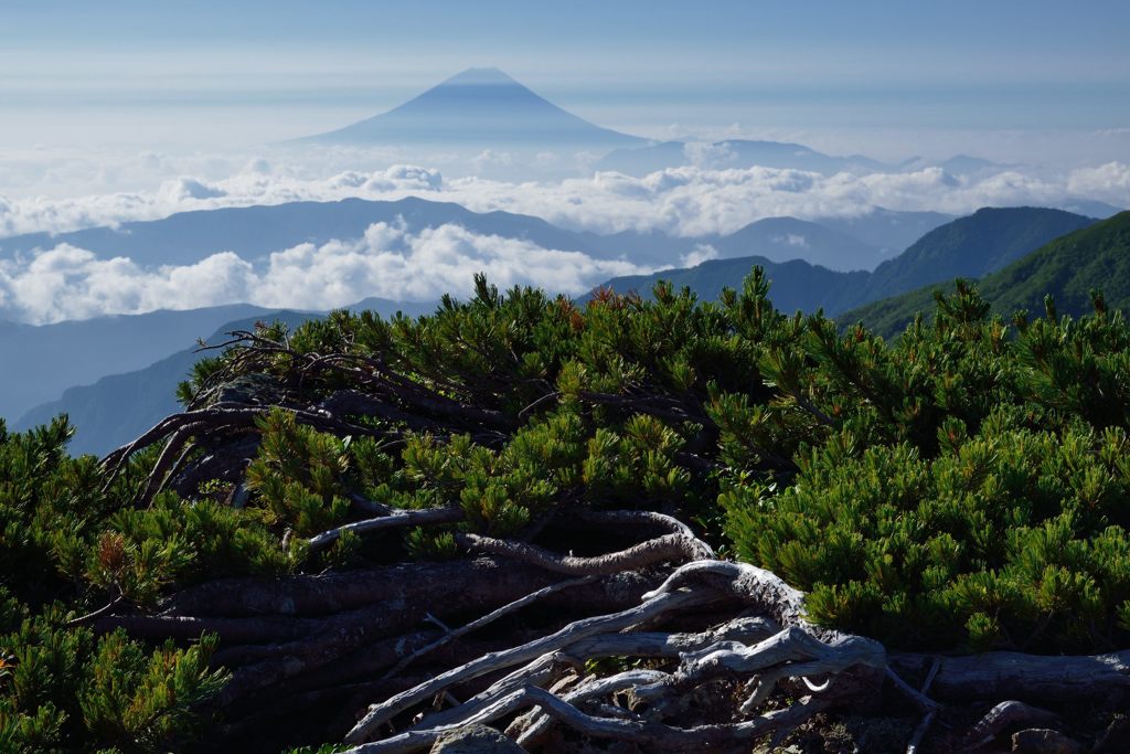 週末の富士山（新作972）