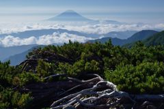 週末の富士山（新作972）