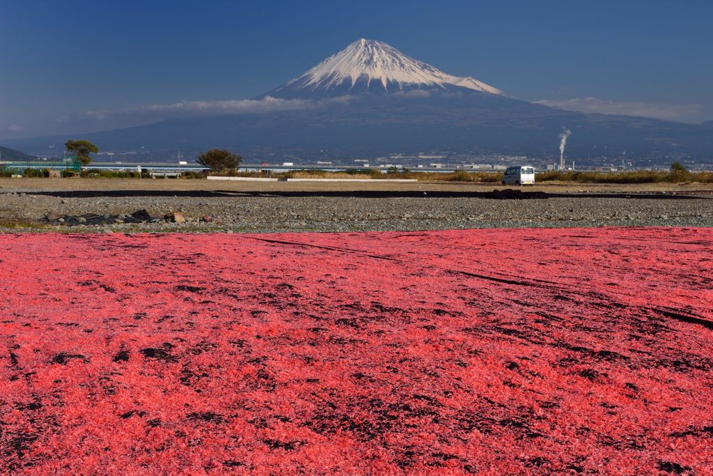 平日の富士山477