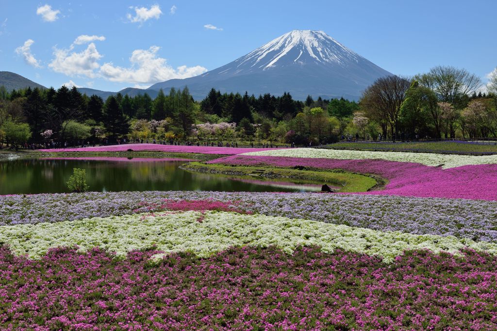 平日の富士山292