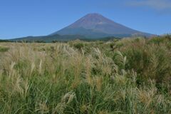 週末の富士山153