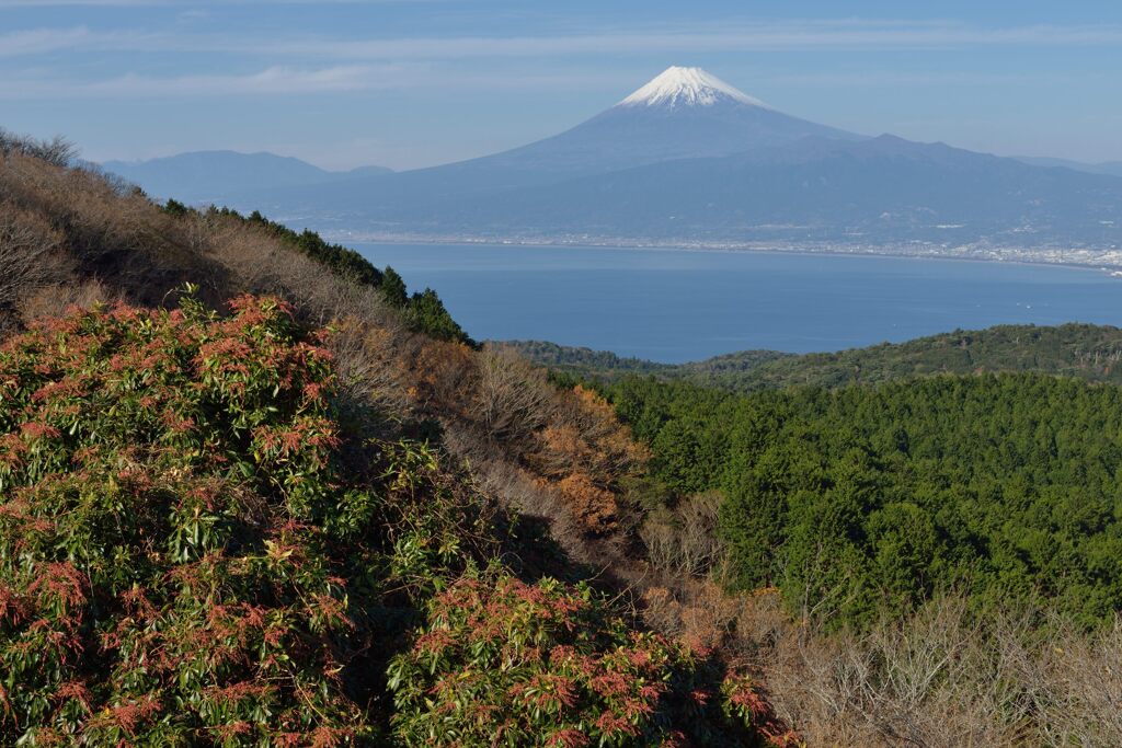 週末の富士山300