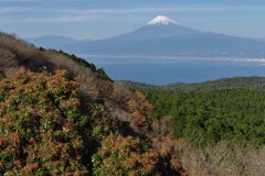 週末の富士山300
