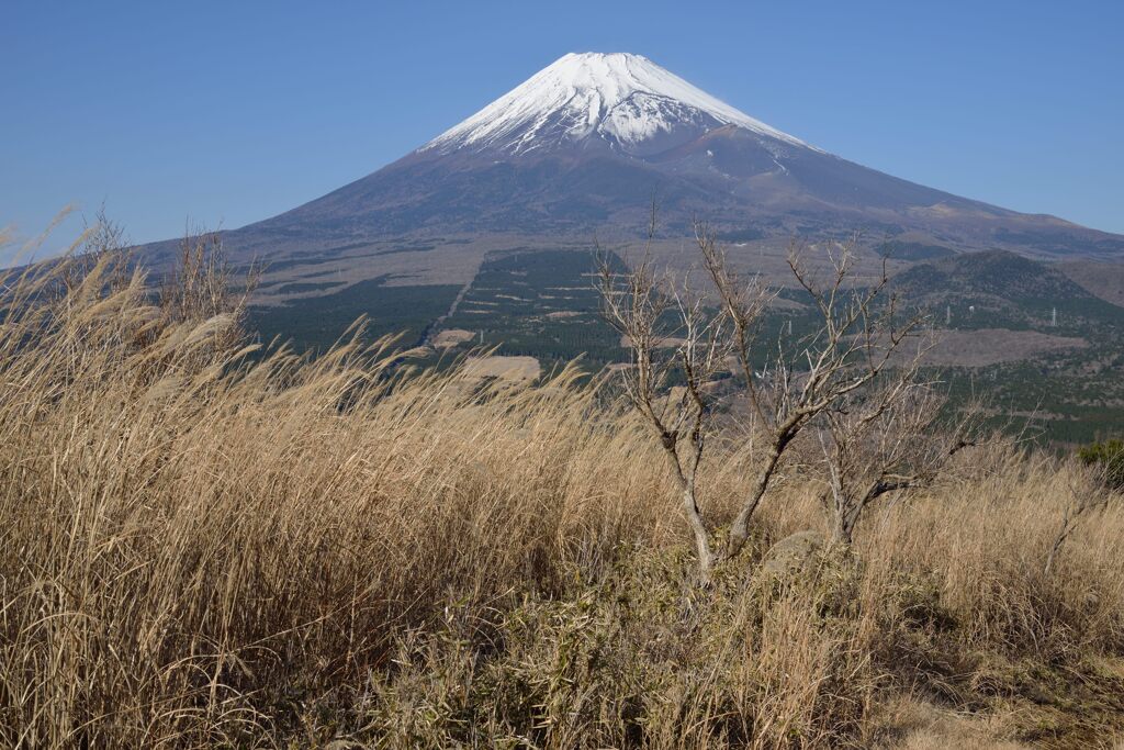 週末の富士山265
