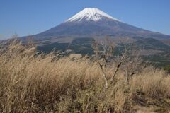 週末の富士山265