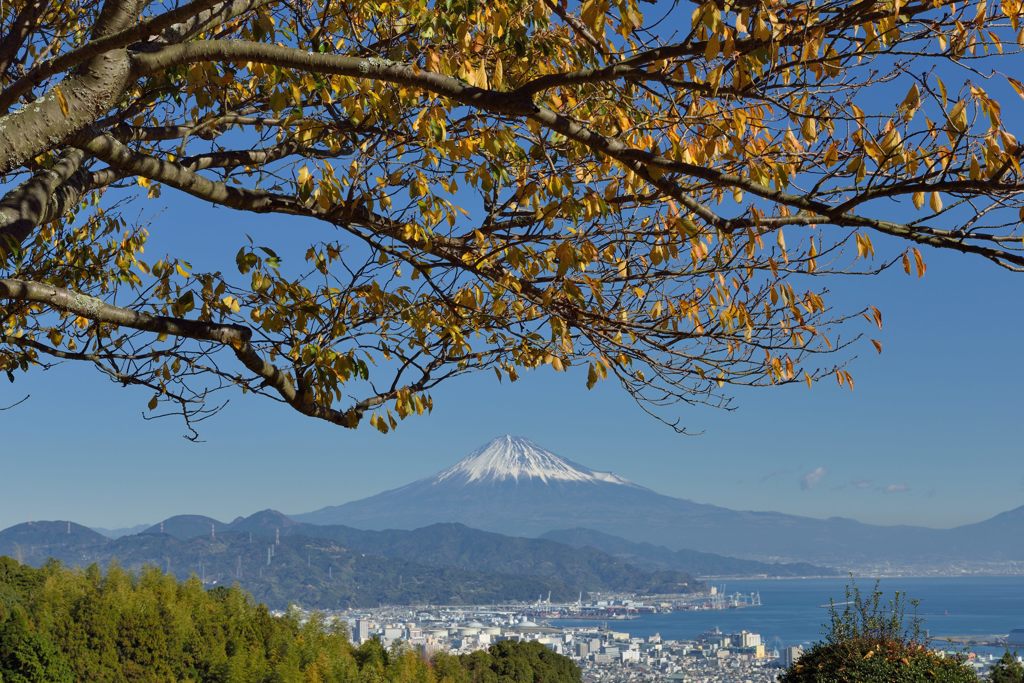 平日の富士山508