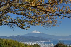 平日の富士山508