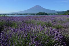 平日の富士山61
