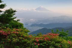 平日の富士山319