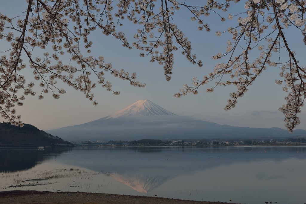 週末の富士山（新作438）