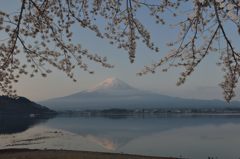 週末の富士山（新作438）