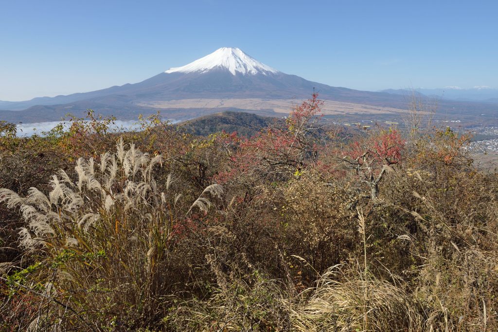 週末の富士山（新作491）