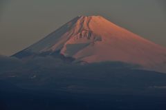 平日の富士山233