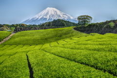 週末の富士山（新作641）