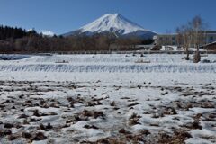 週末の富士山（新作1211）