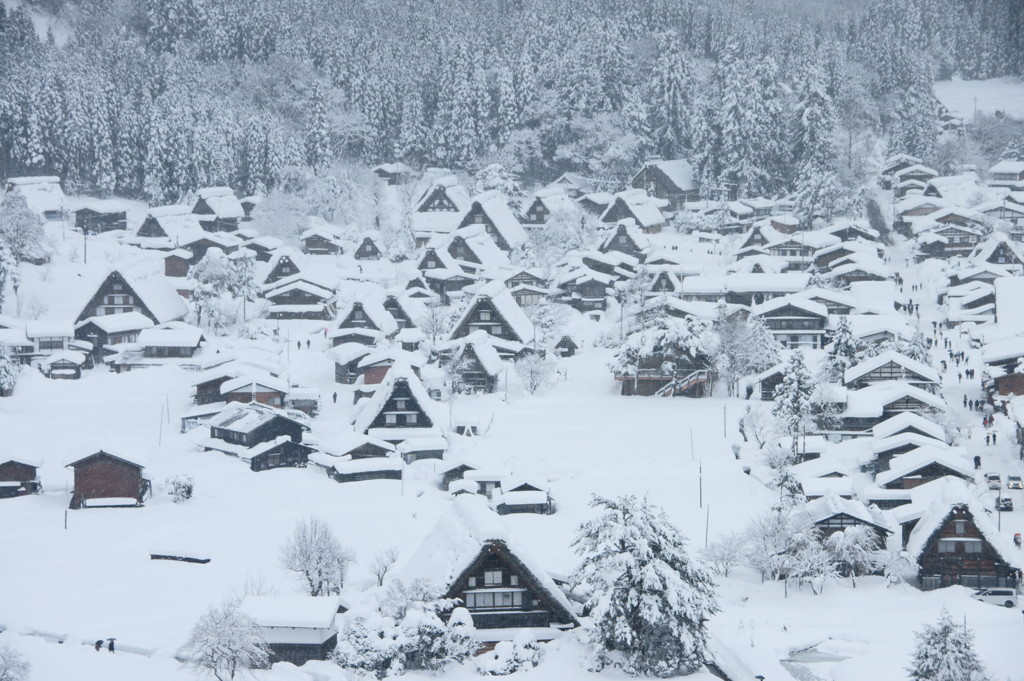 雪中白川郷定番図