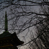 京都じゃないよ上野だよ