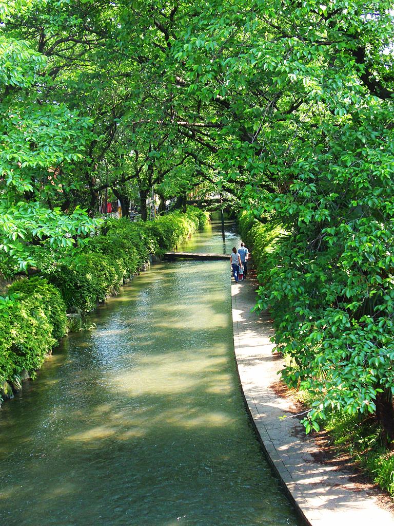 水辺の散歩道