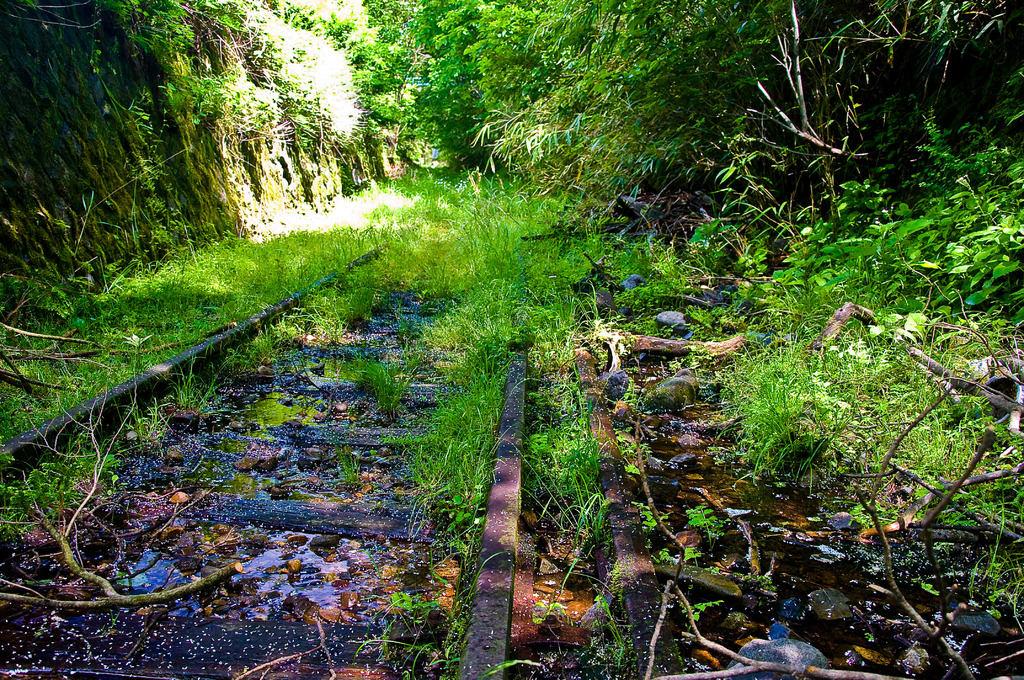 水も滴る良い線路