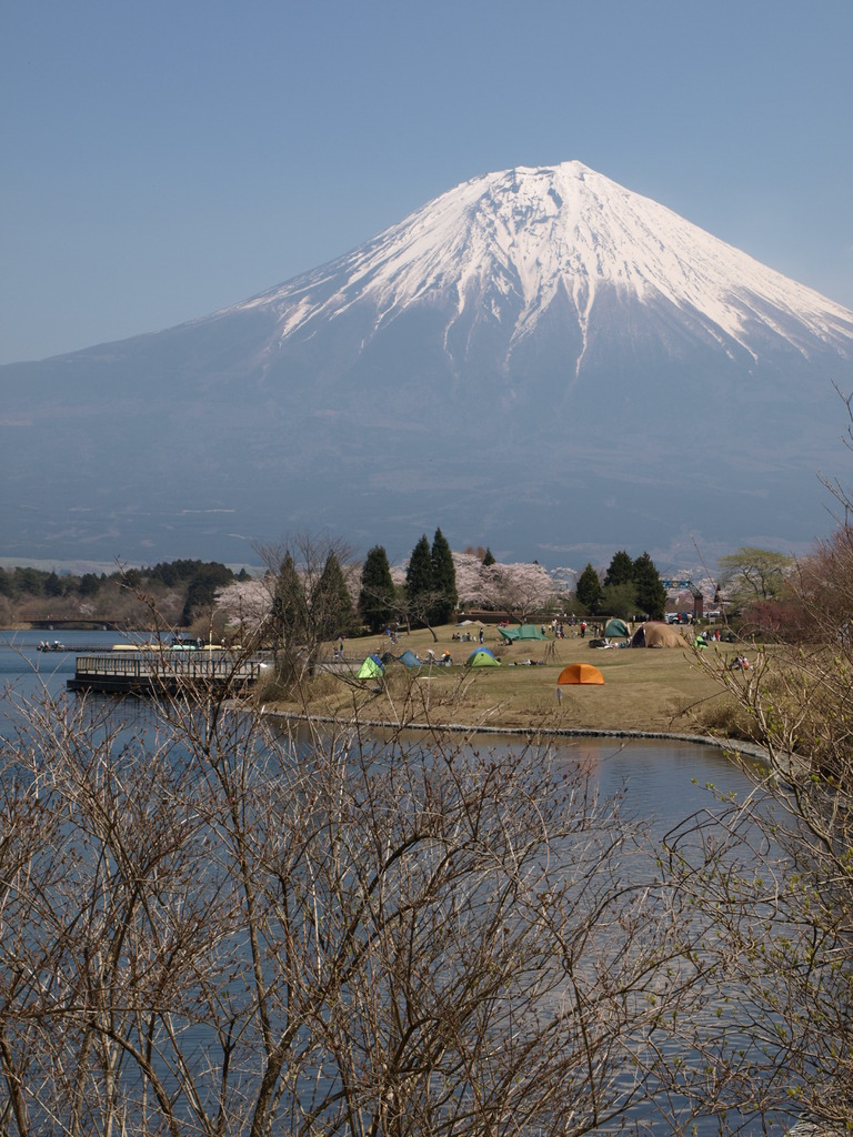 田貫湖畔　長閑なキャンプ場