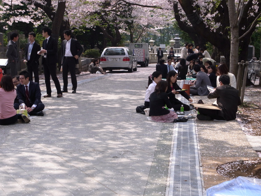 青山霊園　花見でランチ