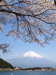 田貫湖からの霊峰富士
