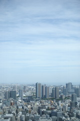 東京砂漠
