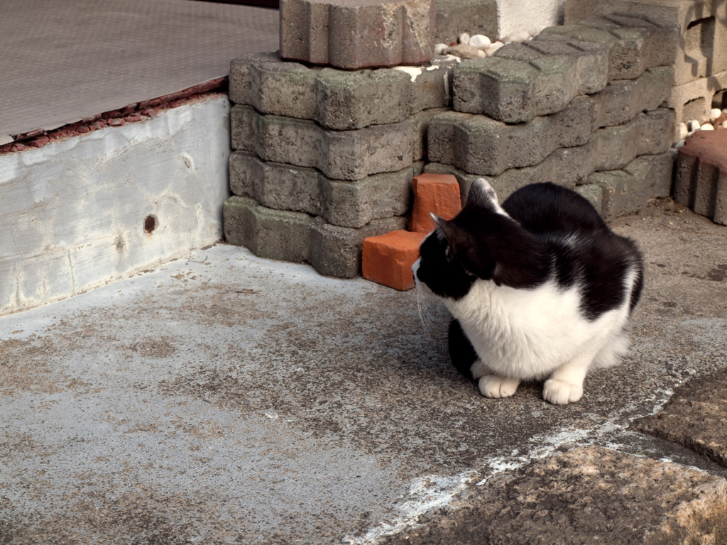 ふんっ！（松本路地裏スナップ番外編）