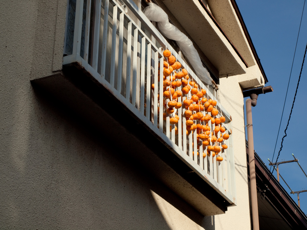 秋味　（松本路地裏スナップ11）
