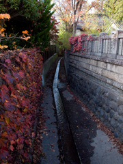 松本路地裏スナップ