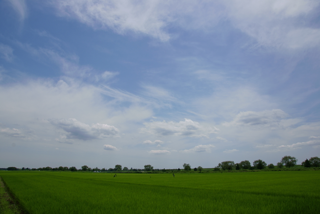 青空と田園