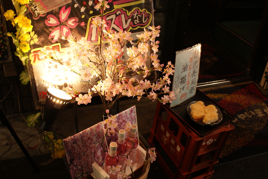 点灯の小さな桜
