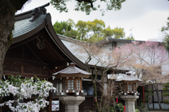 寺