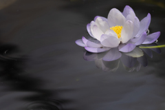 水鏡