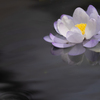 水鏡