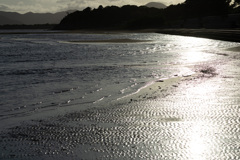海岸