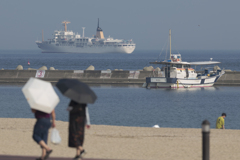 海岸