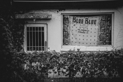 BLUE BLUE