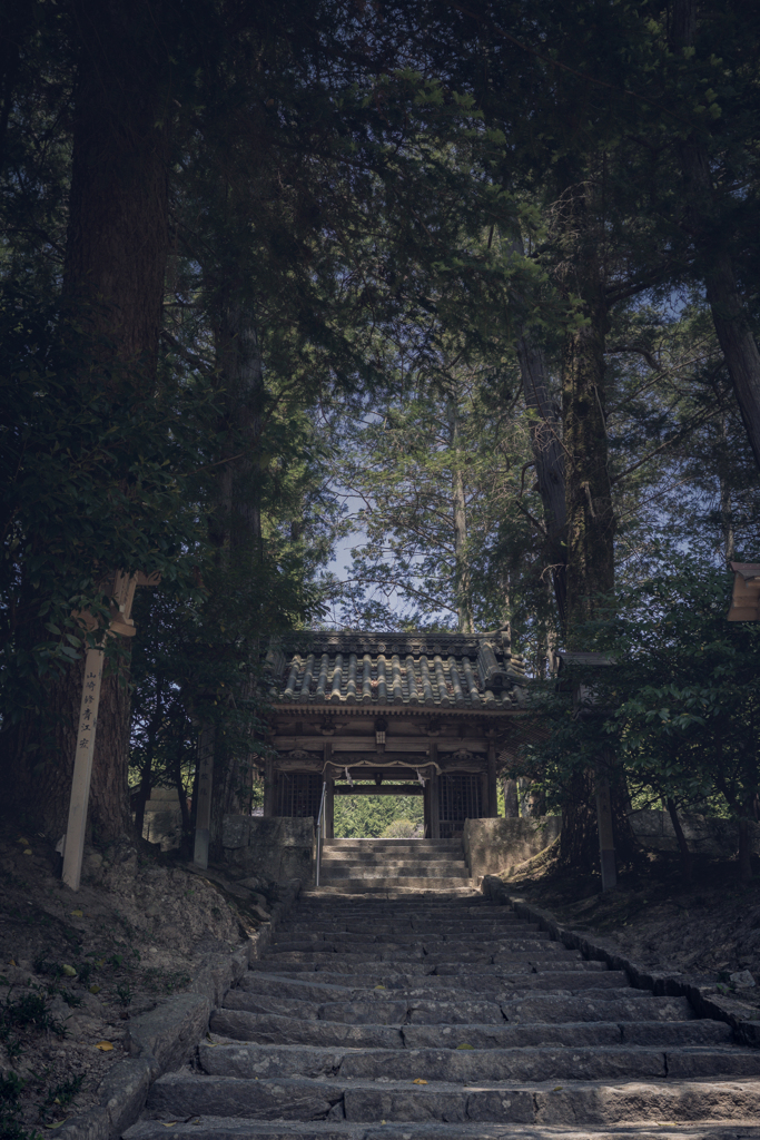 随身門
