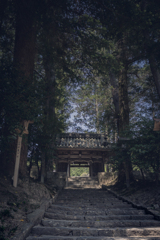 随身門